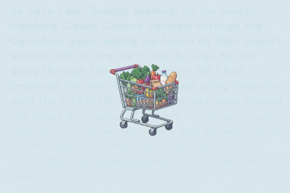 I let an AI buy my groceries